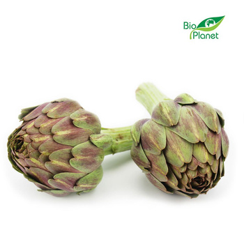 Karczoch Świeży BIO (Około 0,15 kg)