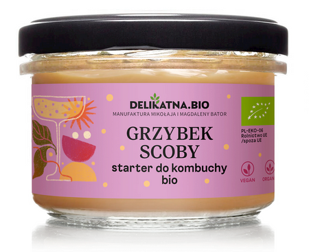 Grzybek Scoby Starter Do Kombuchy BIO 150 g