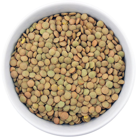 Soczewica Zielona BIO (Surowiec) (25 kg)