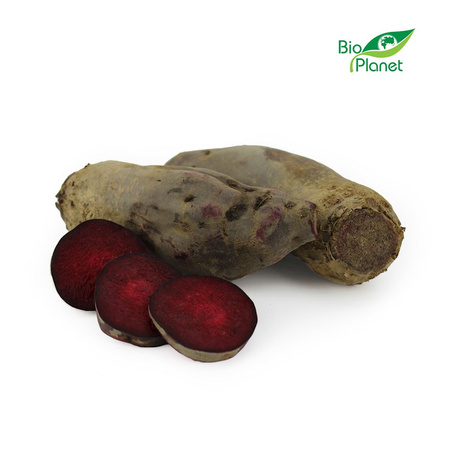 Burak Podłużny Świeży BIO (Polska) (Około 5 kg) (5 szt x 1 kg)