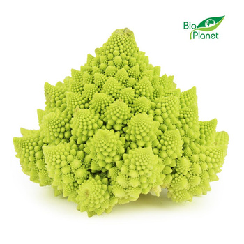 Kalafior Romanesco Świeży BIO (Około 0,70 kg)