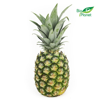 Ananas Świeży BIO (Około 12 Sztuk) (12 szt x 800 g)