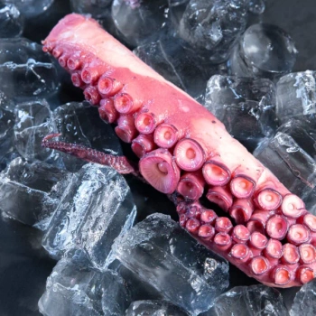 Macka ośmiornicy (1 szt.) pasteryzowana (500 g)