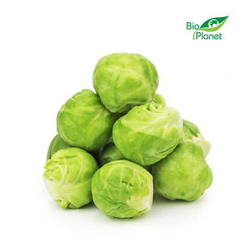 Brukselka Świeża BIO (Około 5 kg) (5 szt x 1 kg)