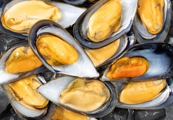 Mule w połówkach muszli, gotowane, w solance (350 g)