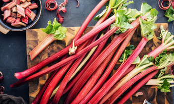 Rabarbar BIO (500 g)
