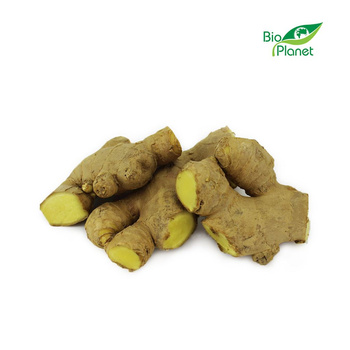 Imbir Świeży BIO (Około 0,40 kg)