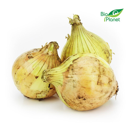 Cebula Żółta Świeża BIO (Polska) (Około 5 kg) (5 szt x 1 kg)