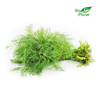 Koperek Świeży (Pęczek) BIO (Polska) (Około 20 g)