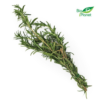 Rozmaryn Świeży BIO (Około 50 g)