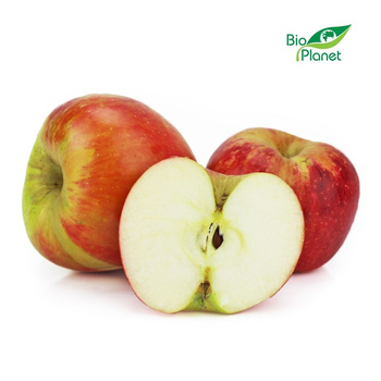 Jabłka Świeże BIO (Champion Polska) (Około 13 kg) (13 szt x 1 kg)