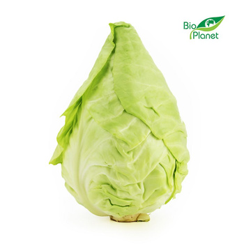 Kapusta Szpiczasta Świeża BIO (Około 0,60 kg)