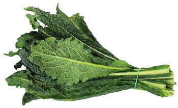 Jarmuż Toskański Świeży BIO (Około 0,40 kg)