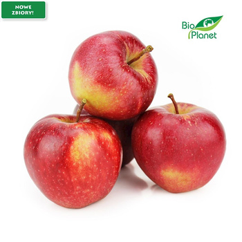 Jabłka Świeże BIO (Gala Polska (Około 13 kg) (13 szt x 1 kg)