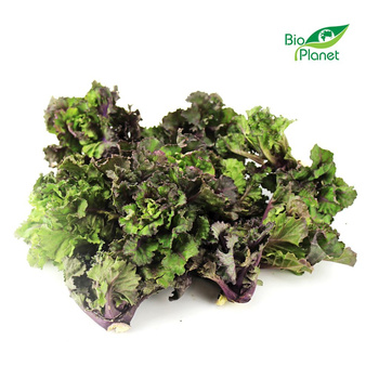 Brukselka Kalette Świeża BIO (Około 2 kg) (2 szt x 1 kg)