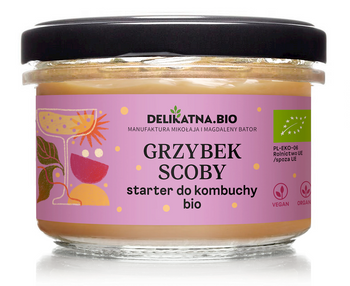 Grzybek Scoby Starter Do Kombuchy BIO (2 szt x 150 g)