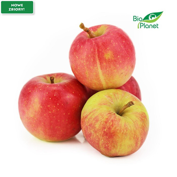 Jabłka Na Sok Świeże BIO (Polska) (Około 5 kg) (5 szt x 1 kg)