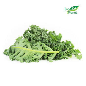 Jarmuż Świeży Niemyty BIO (Polska) (Około 2 kg) (2 szt x 1 kg)