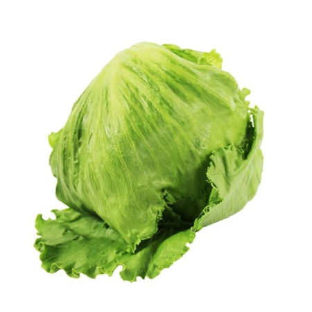 Sałata Lodowa BIO 1 Szt.