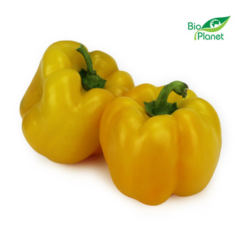 Papryka Żółta Świeża BIO (Polska) (Około 3 kg) (3 szt x 1 kg)