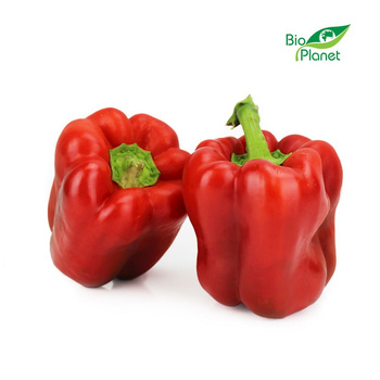 Papryka Czerwona Świeża BIO (Polska) (Około 5 kg) (5 szt x 1 kg)