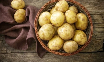 Ziemniaki młode polskie Irga BIO (1 kg)
