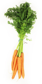 Marchew Młoda z Natką Świeża BIO (Około 0,50 kg)