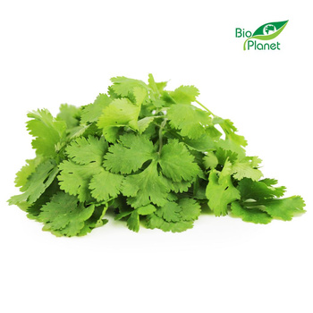 Kolendra Świeża BIO (Około 50 g)