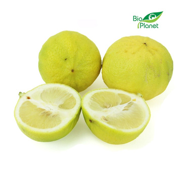 Bergamotka Świeża BIO (Około 3 kg) (3 szt x 1 kg)