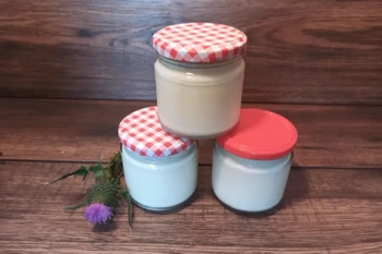 Kozi jogurt naturalny - zestaw 3 szt.