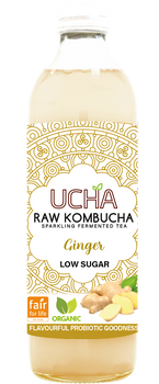 Kombucha z Imbirem Niska Zawartość Cukrów Fair For Life BIO (3 szt x 350 ml)