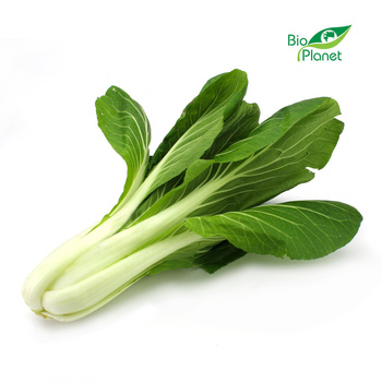 Kapusta Pak Choi Świeża BIO (Około 0,25 kg)