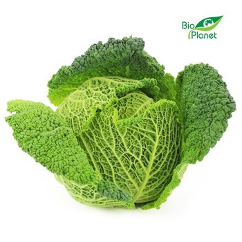 Kapusta Włoska Świeża BIO (Około 0,80 kg)