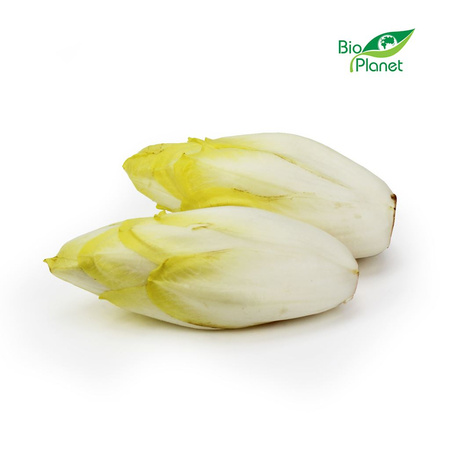 Cykoria Świeża BIO (Około 2,5 kg) (2,5 szt x 1 kg)