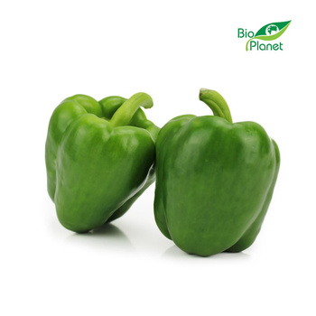 Papryka Zielona Świeża BIO (Polska) (Około 3 kg) (5 szt x 1 kg)