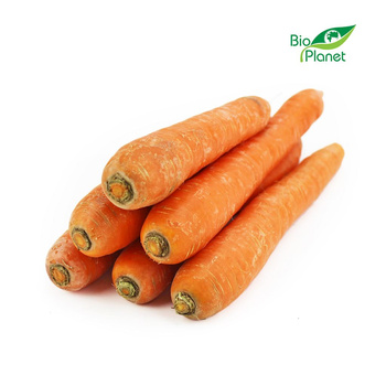 Marchew Na Sok Świeża Myta BIO (Polska) (Około 5,00 kg)