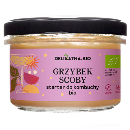 Grzybek Scoby Starter Do Kombuchy BIO (2 szt x 150 g)