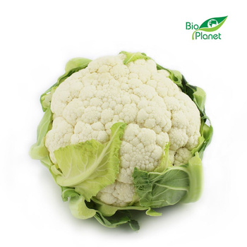 Kalafior Świeży BIO (Około 8 Sztuk) (8 szt x 700 g)