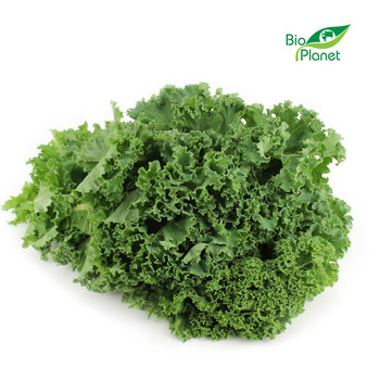 Jarmuż Świeży BIO (Około 4 kg) (4 szt x 1 kg)