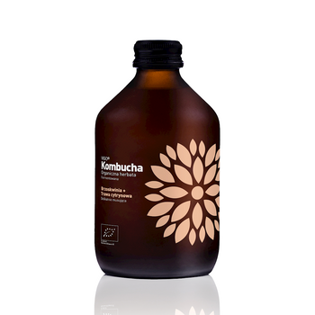 Kombucha z Brzoskwinią i Trawą Cytrynową Bezglutenowa BIO (6 szt x 330 ml)