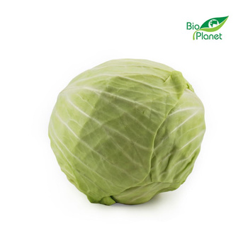 Kapusta Biała Świeża BIO (Polska) (Około 10 kg) (10 szt x 1 kg)
