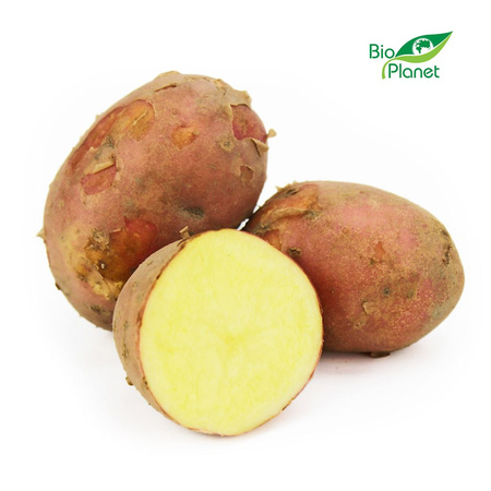 Ziemniaki Czerwone Świeże BIO (Polska) (Około 2,00 kg) (2 szt x 1 kg)