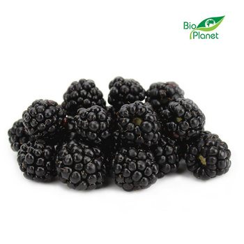 Jeżyny Świeże BIO (Około 0,125 kg)