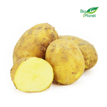 Ziemniaki Żółte Świeże BIO (Polska) (Około 10 kg) (10 szt x 1 kg)