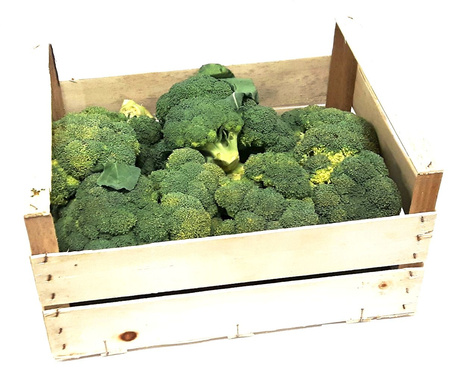 Brokuły Świeże BIO (Około 5 kg) (5 szt x 1 kg)