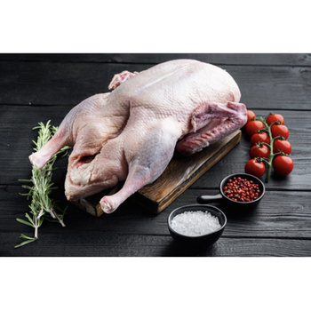 KACZKA TUSZKA (ok. 2,5 kg)