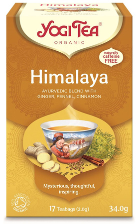 Herbatka Himalaya BIO (17 x 2 g) (2 szt x 34 g)