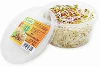 Kiełki Mieszanka Świeże BIO (Około ) (2 szt x 50 g)