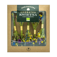 Herbatka Na Patyku Kwietna Liofilizowana BIO (5 x 2,5 g) 12,5 g