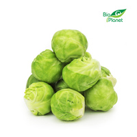 Brukselka Świeża BIO (Około 5 kg) (5 szt x 1 kg)
